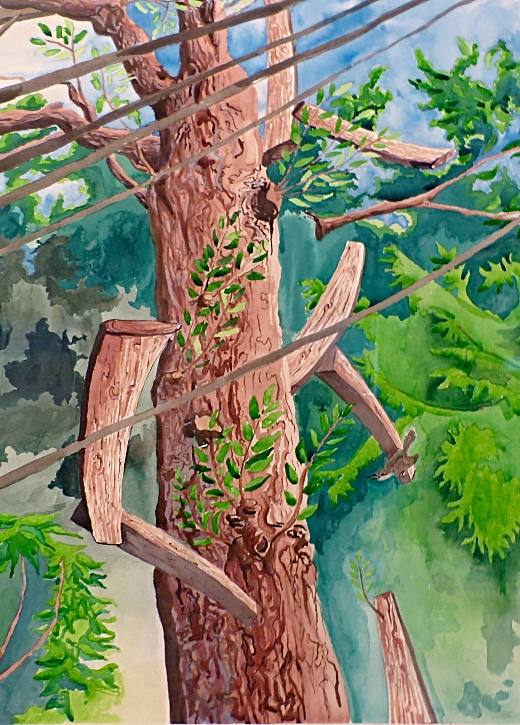  Detail: The Shifting Story of the Tree 