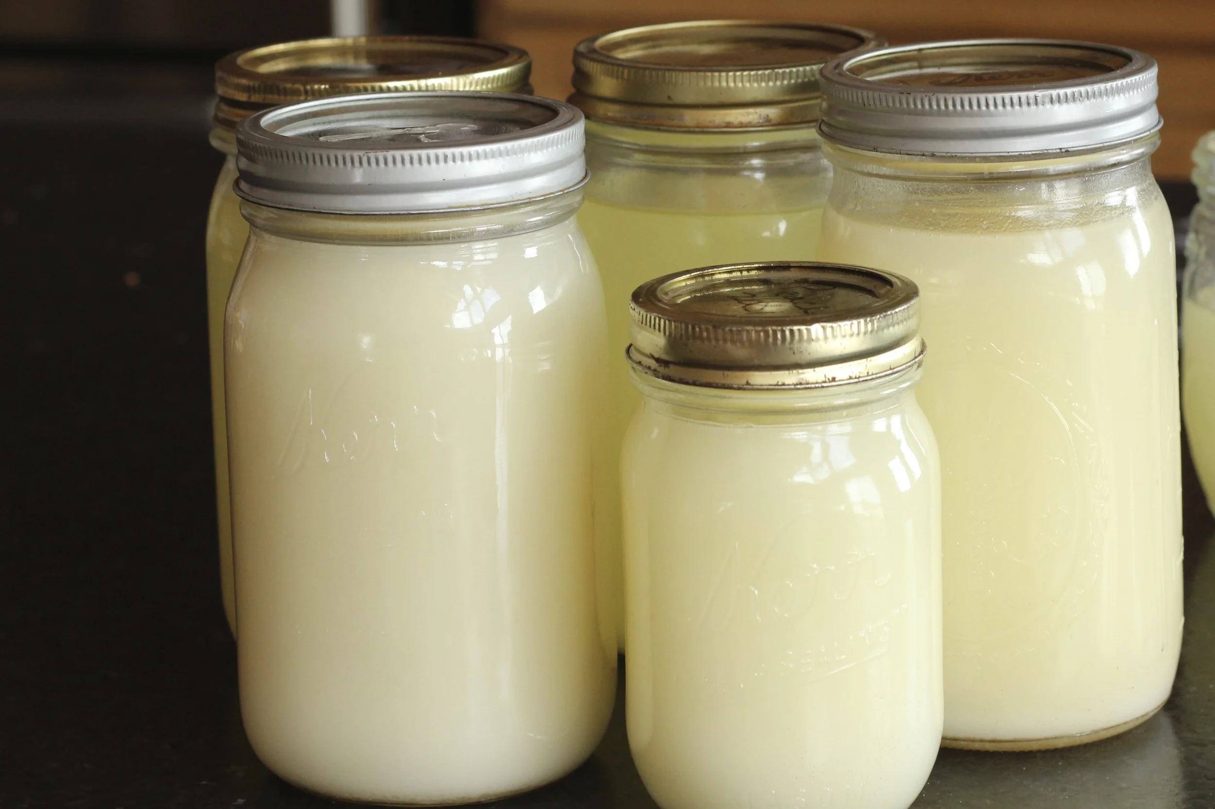 After butchering our pigs, we render the lard. These will be a beautiful pure white after they have cooled.