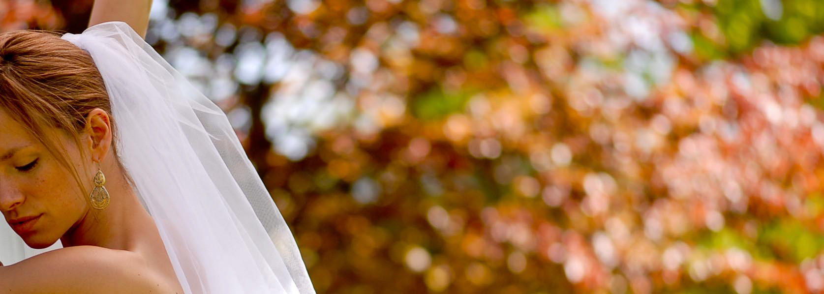 wedding shoot 2 DSC_2209TT.jpg