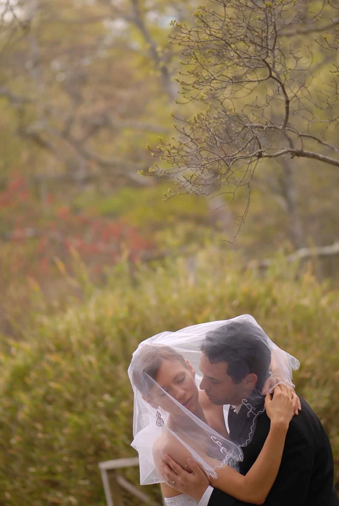 wedding shoot 2 DSC_2250.jpg
