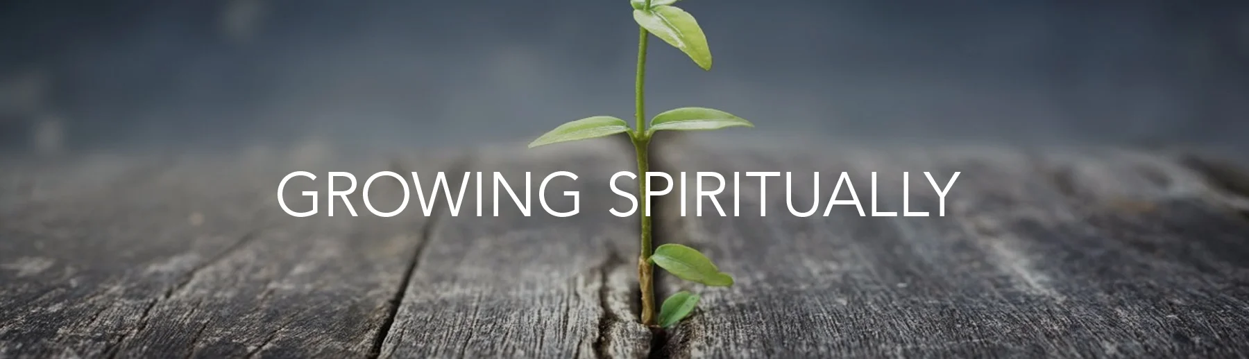growing-spiritually2.jpg