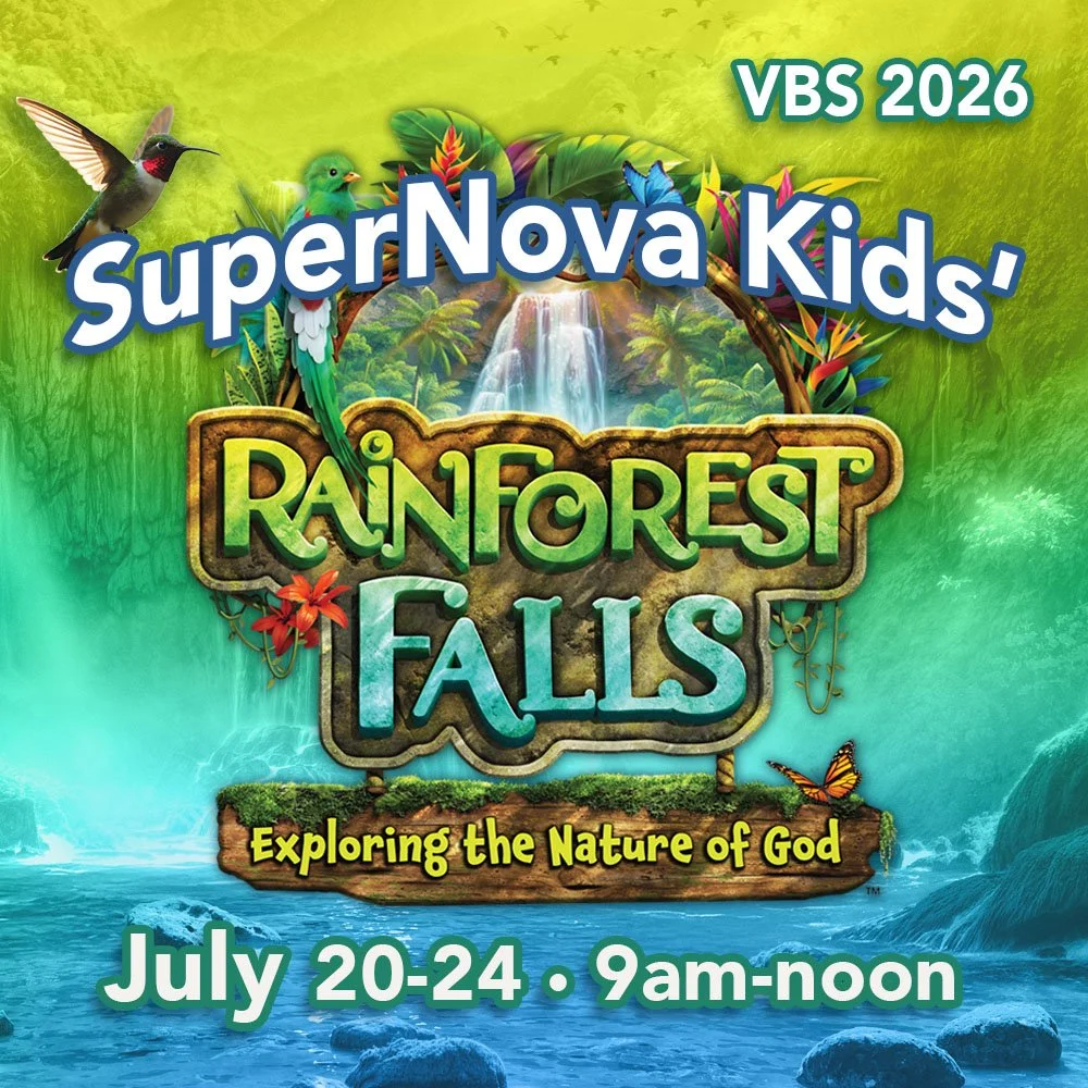 RAIN FOREST Square 1000p x 1000p pl.jpg