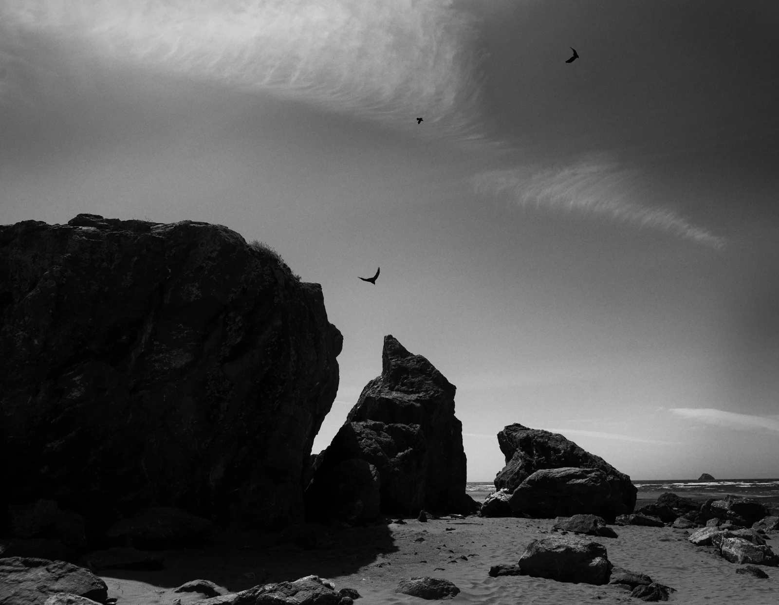 This photograph was selected as an image for the poster