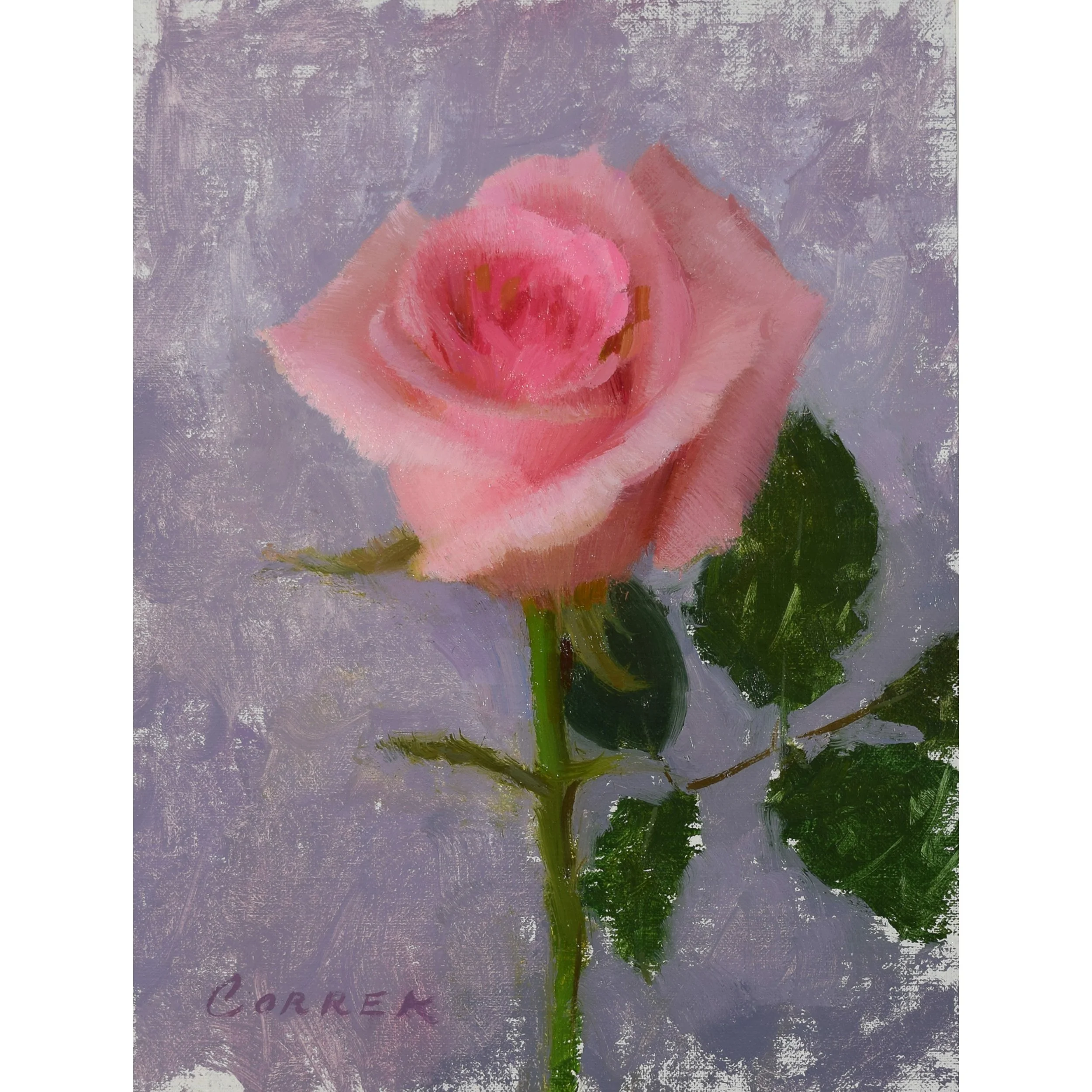 Princess Rose copy.jpg