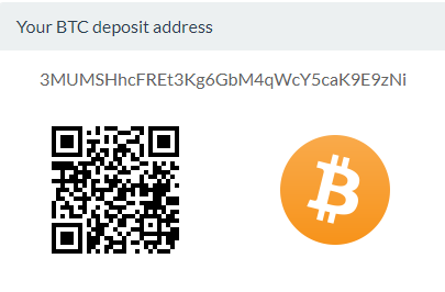 Your main login screen shows your Bitpanda wallet details