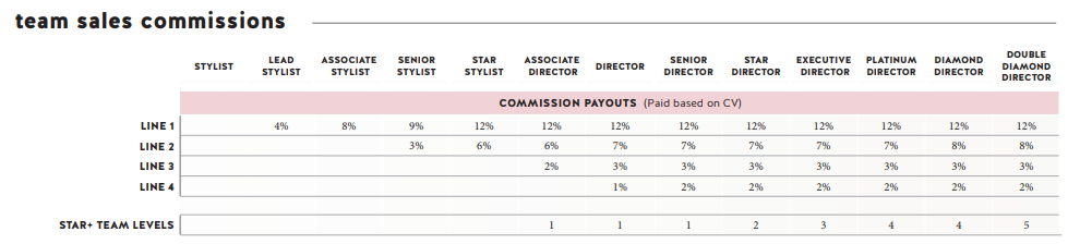 Source: Stella and Dot compensation plan