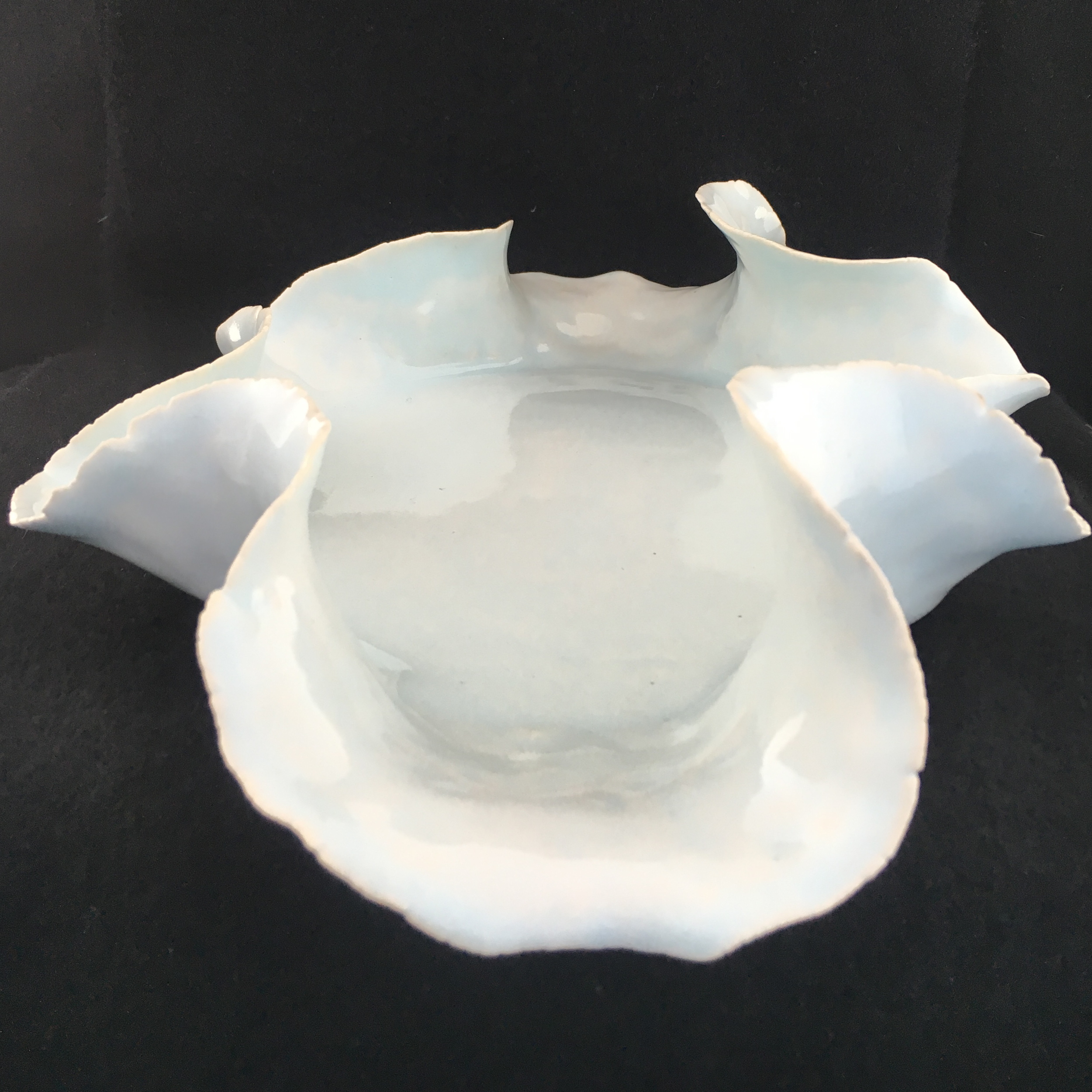 LGMarx Barely Blue Plater (View B).jpg
