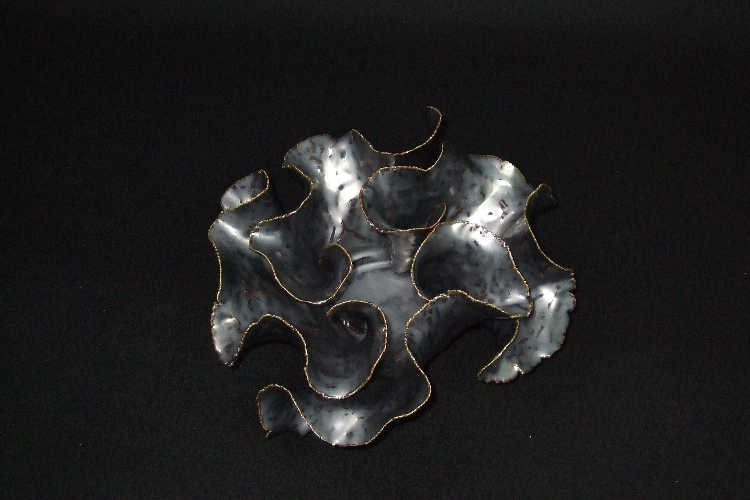 DSCF7371.jpg