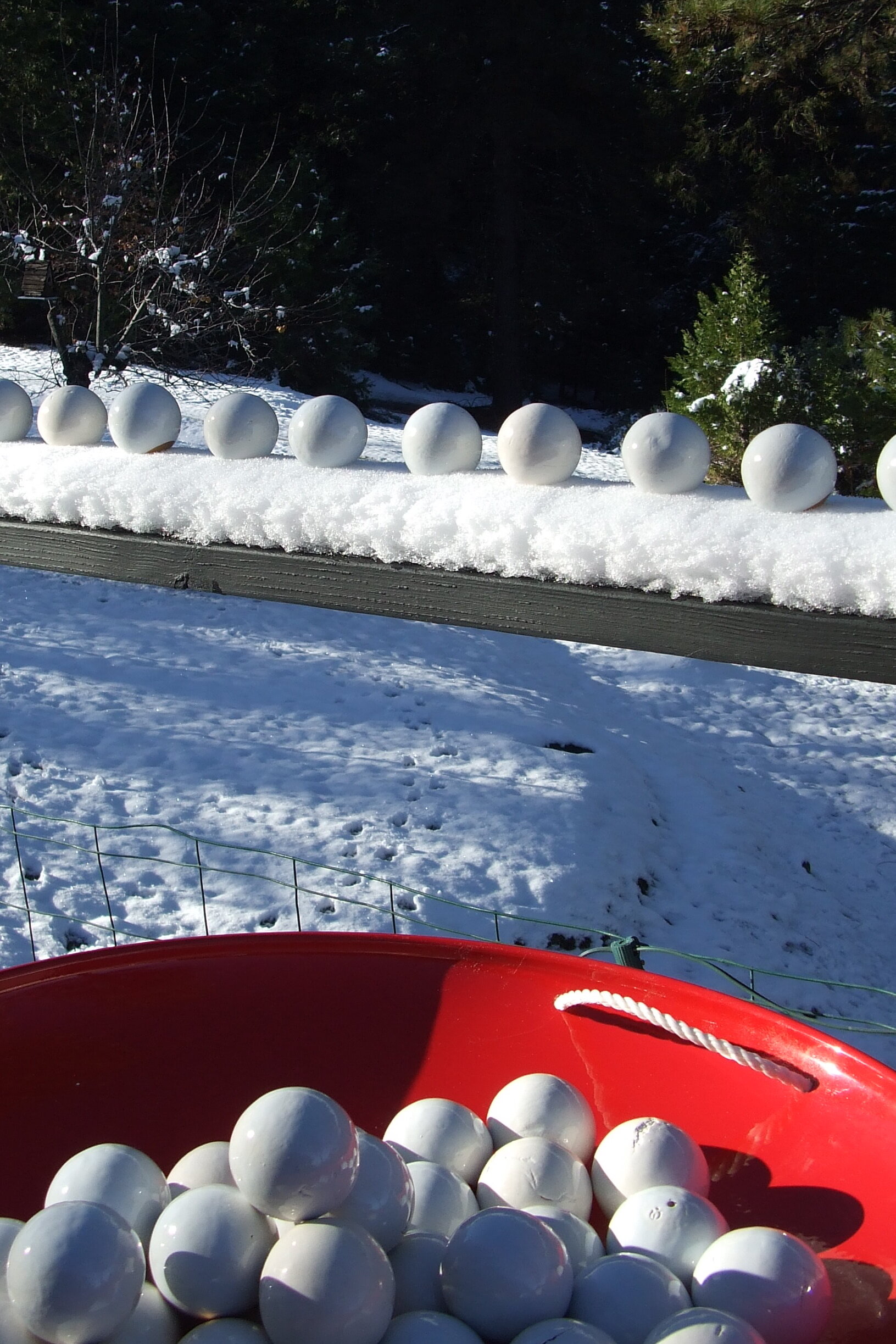 DSCF7655.JPG