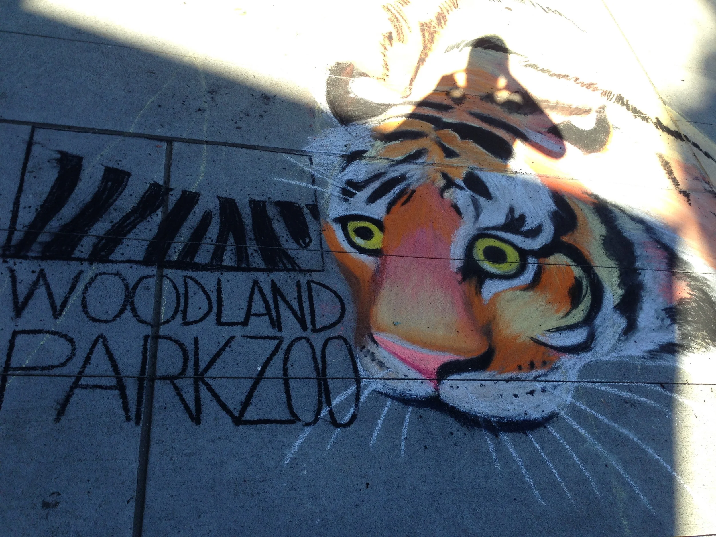 Libraries + Zoo