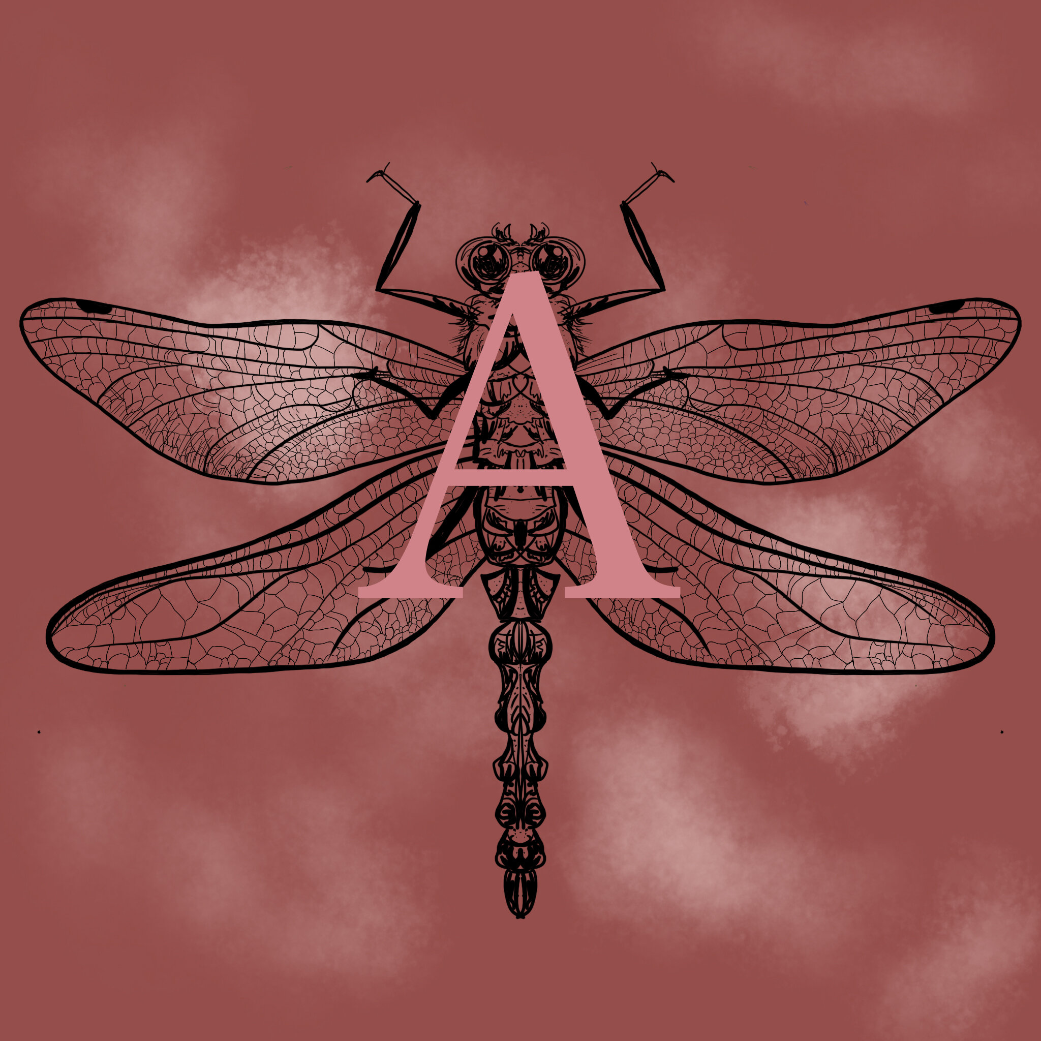 dragonfly A.jpg