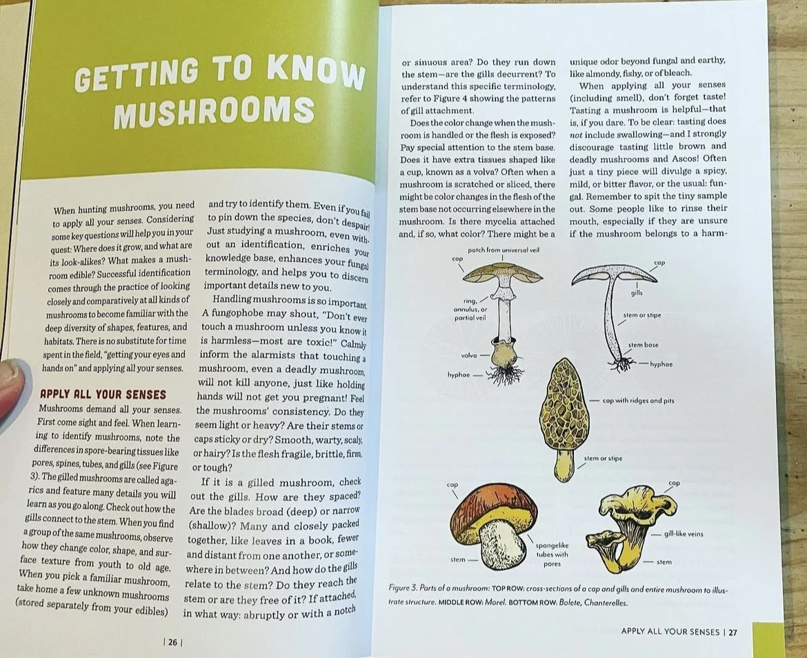 Fruits of the Forest by Multnomah Publishing