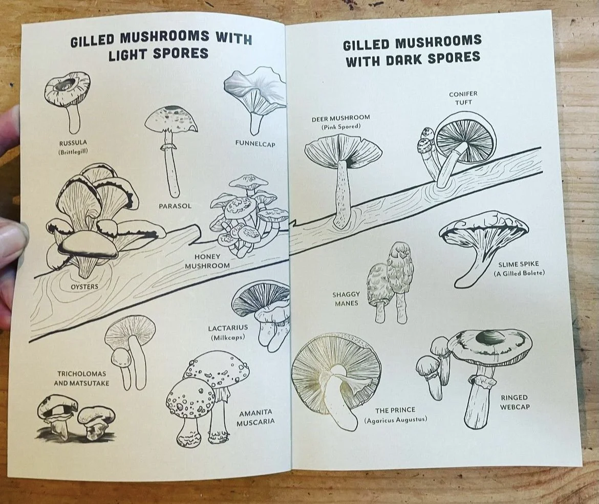 Fruits of the Forest