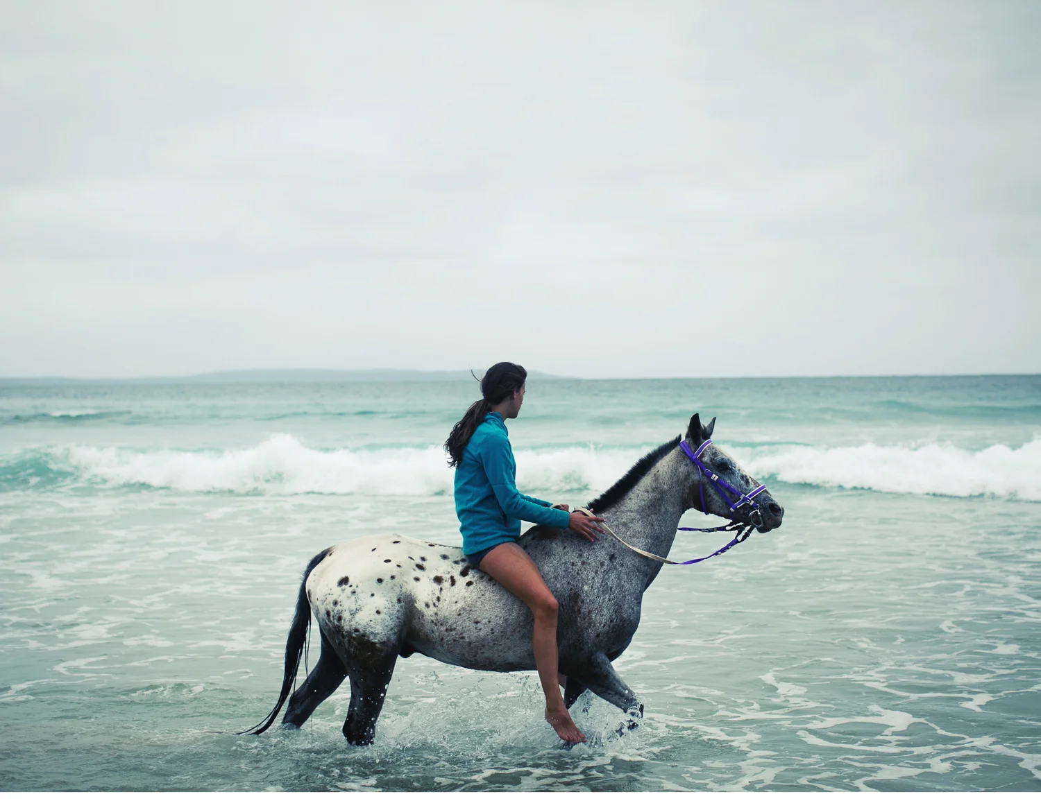 Sheridan.Nilsson.Horse.Portrait.01.jpg