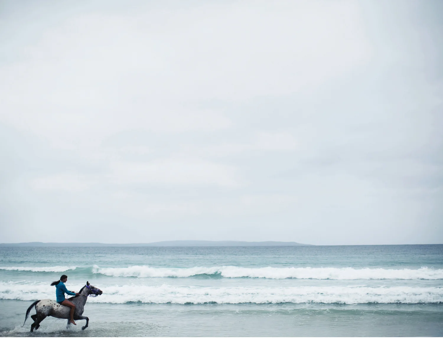 Sheridan.Nilsson.Horse.Portrait.03.jpg