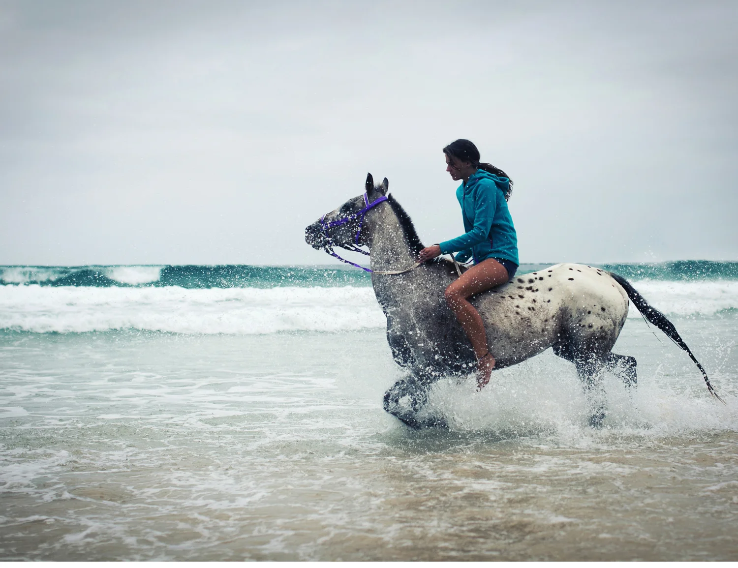 Sheridan.Nilsson.Horse.Portrait.05.jpg