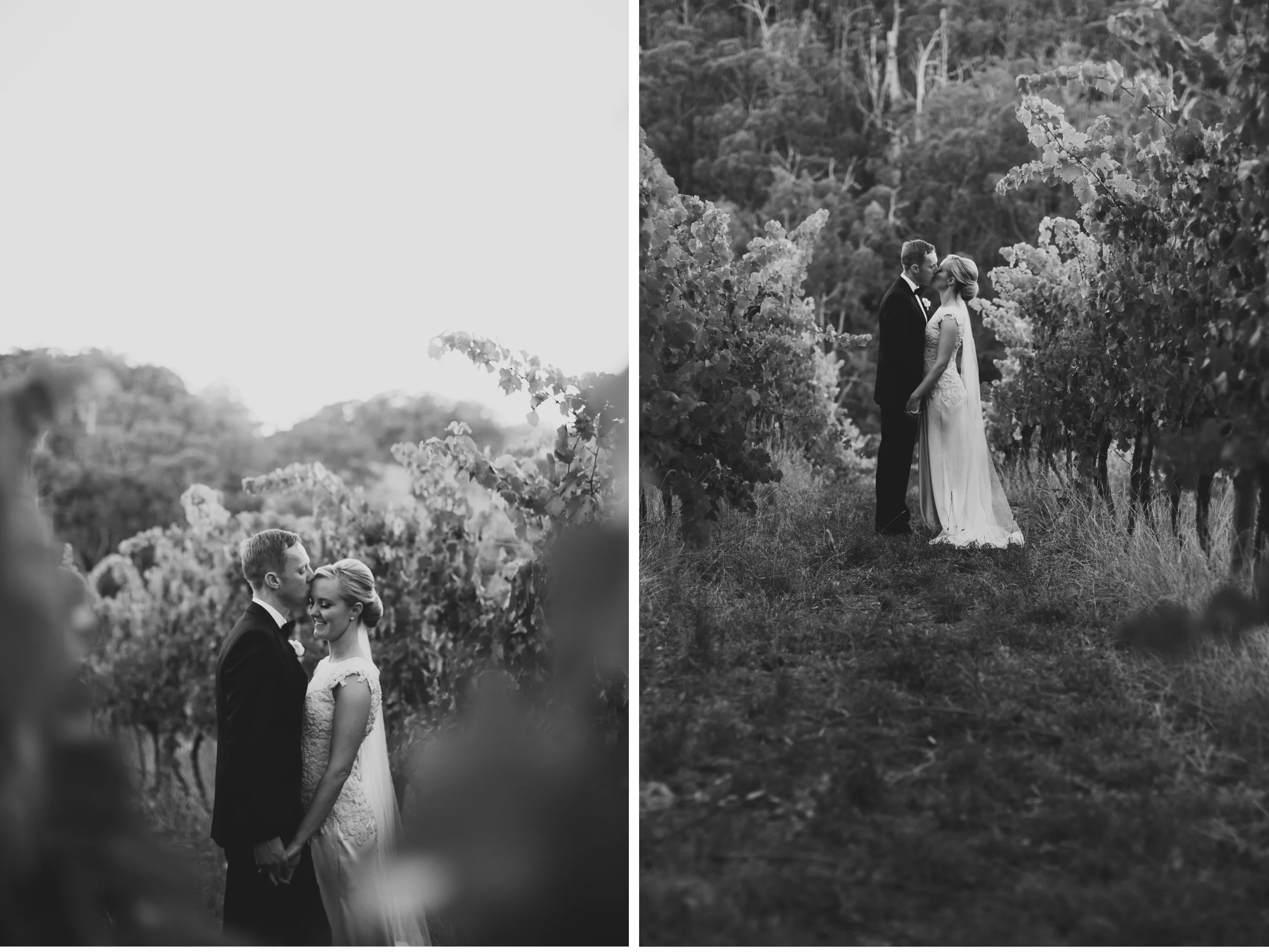 south_australia_winery_wedding.65.jpg