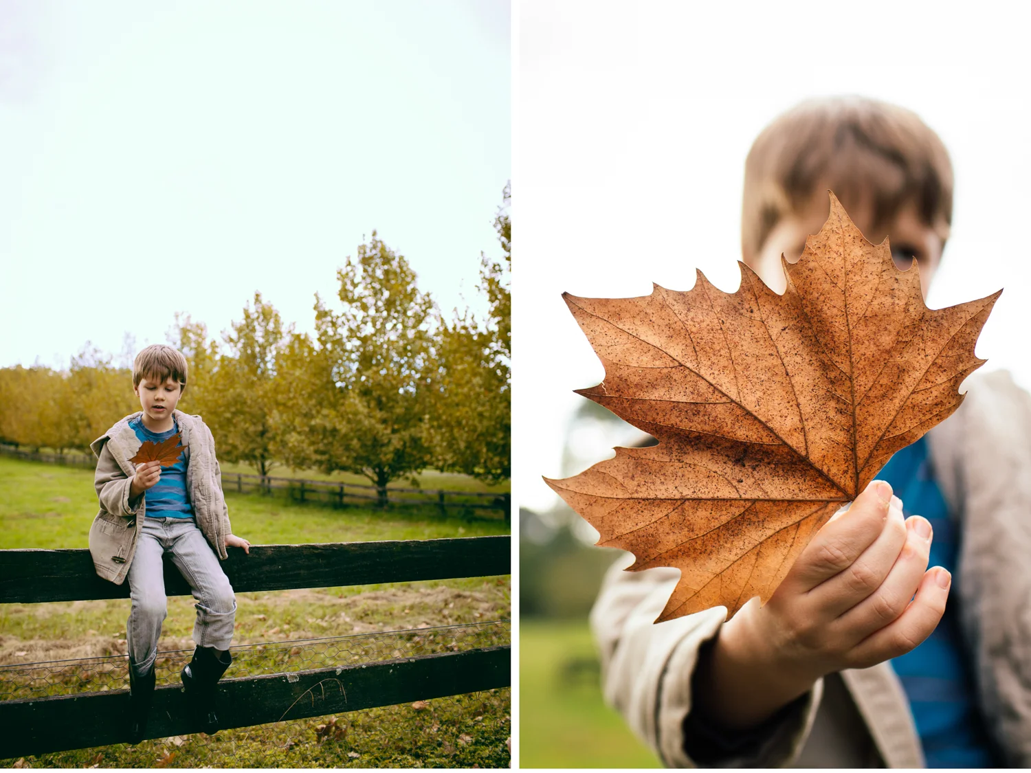 sheridan_nilsson_autumn_blog.03.jpg