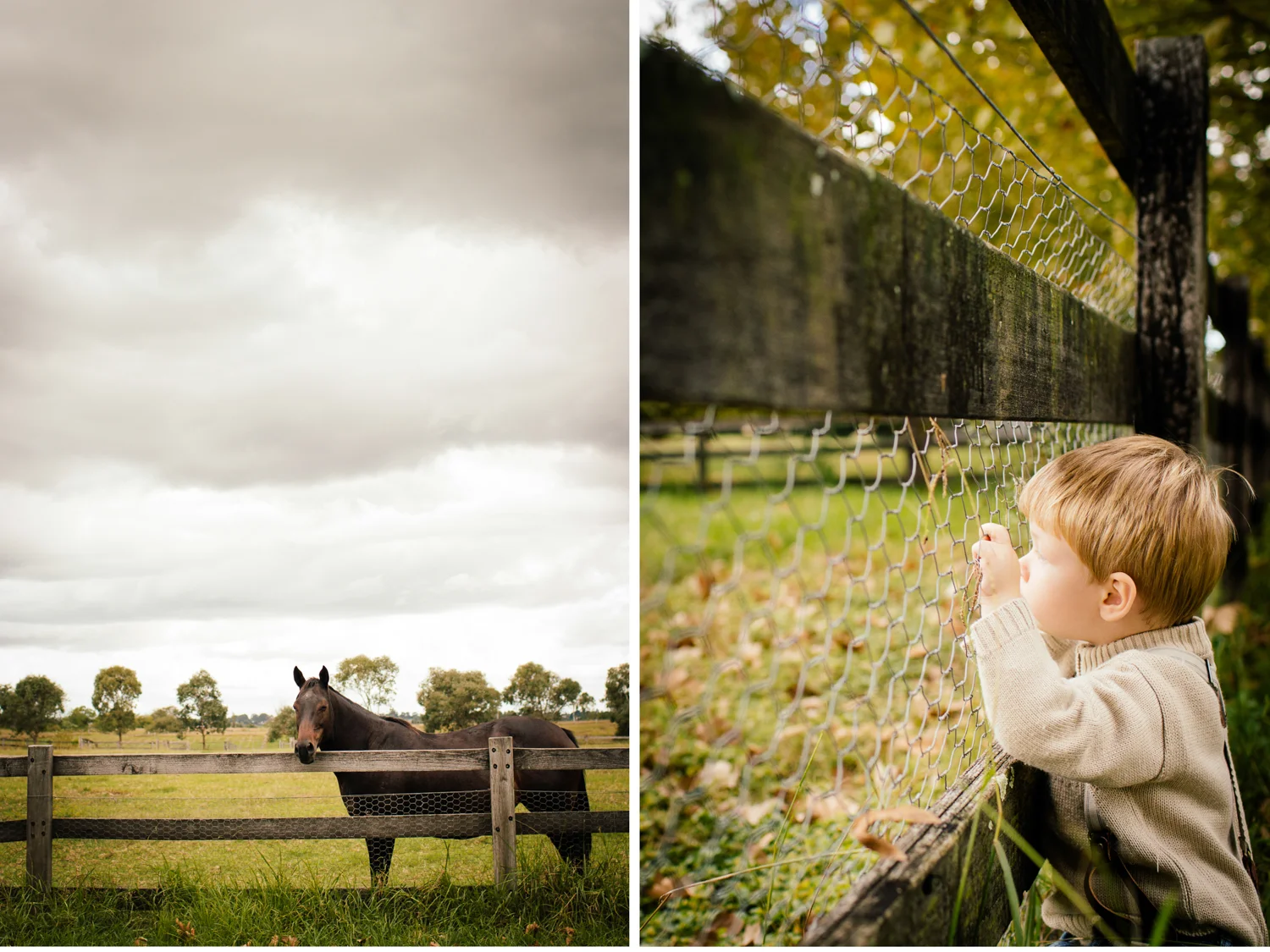 sheridan_nilsson_autumn_blog.11.jpg