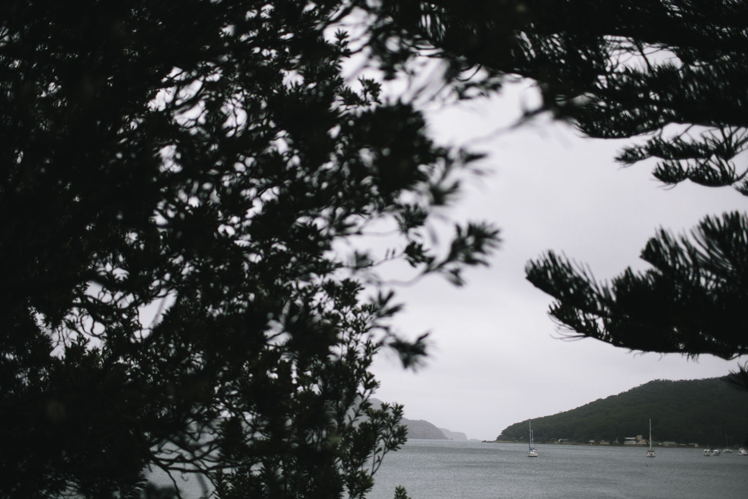 Nelson_Bay_Wedding_Port_Stephens.002.jpeg