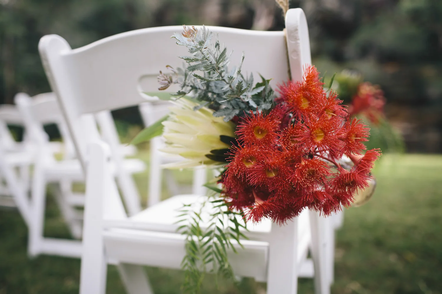 Audley_Royal_National_Park_Wedding0052.jpeg