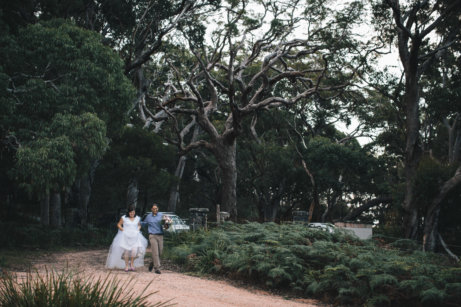 Audley_Royal_National_Park.0080.jpeg