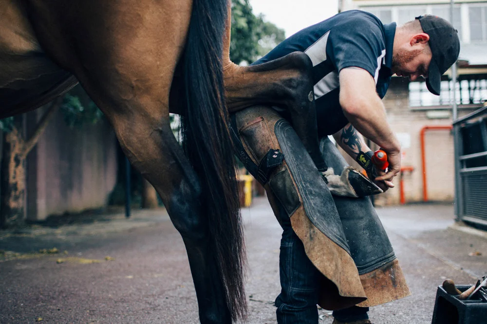 Mark_Innes_Farrier_Centennial_Park_Equestrian_Centre-172.jpg
