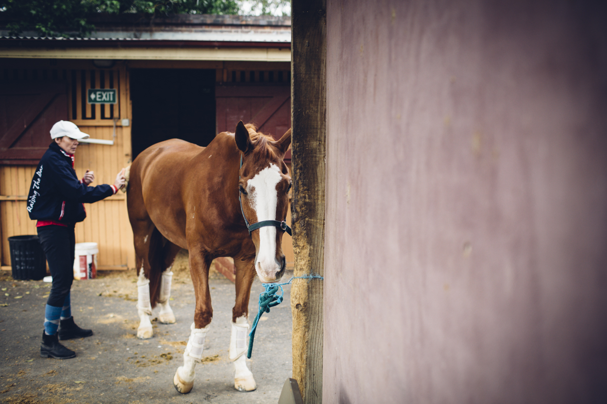 JED_Centennial_Park_Equestrian_Centre.089.jpeg