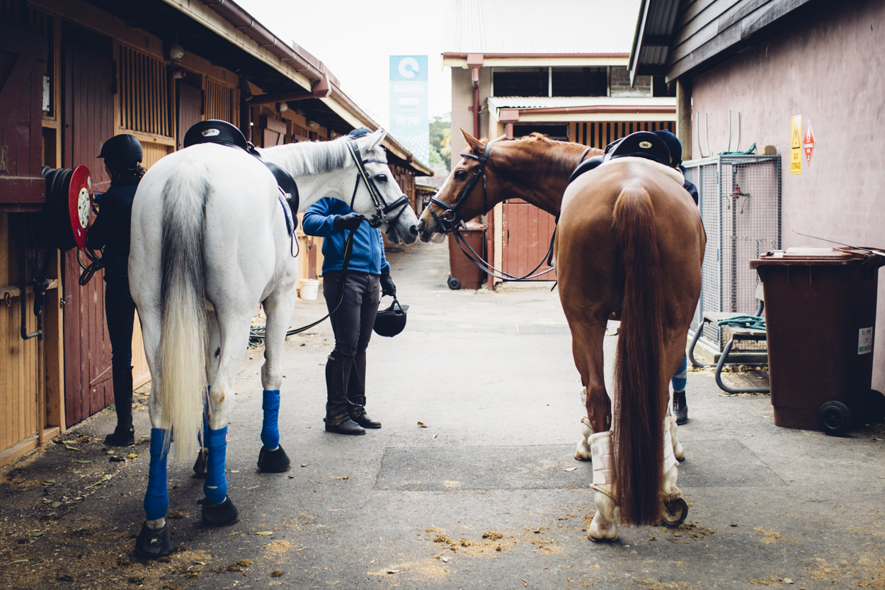 JED_Centennial_Park_Equestrian_Centre.092.jpeg