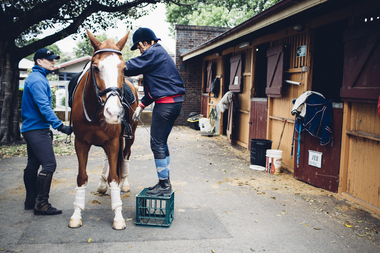 JED_Centennial_Park_Equestrian_Centre.093.jpeg