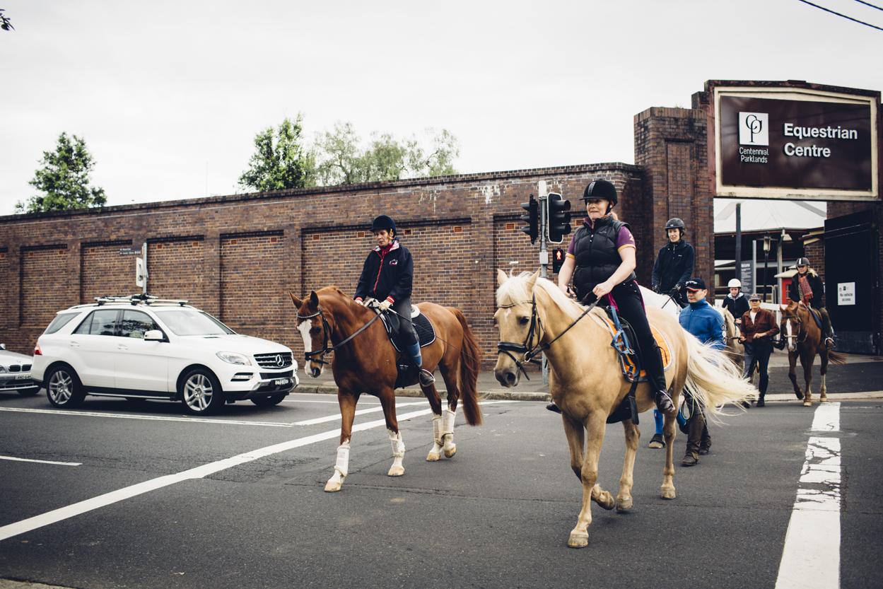 JED_Centennial_Park_Equestrian_Centre.104.jpeg