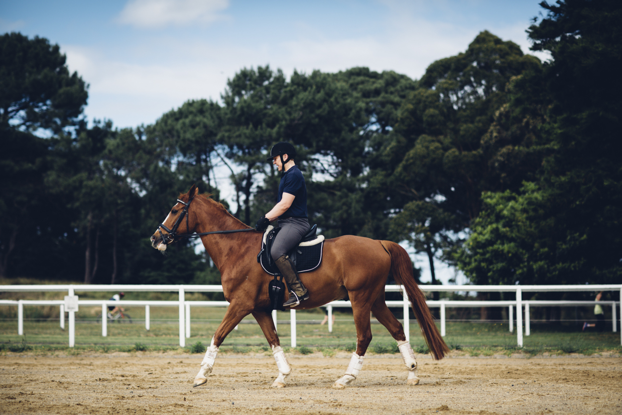 JED_Centennial_Park_Equestrian_Centre.140.jpeg