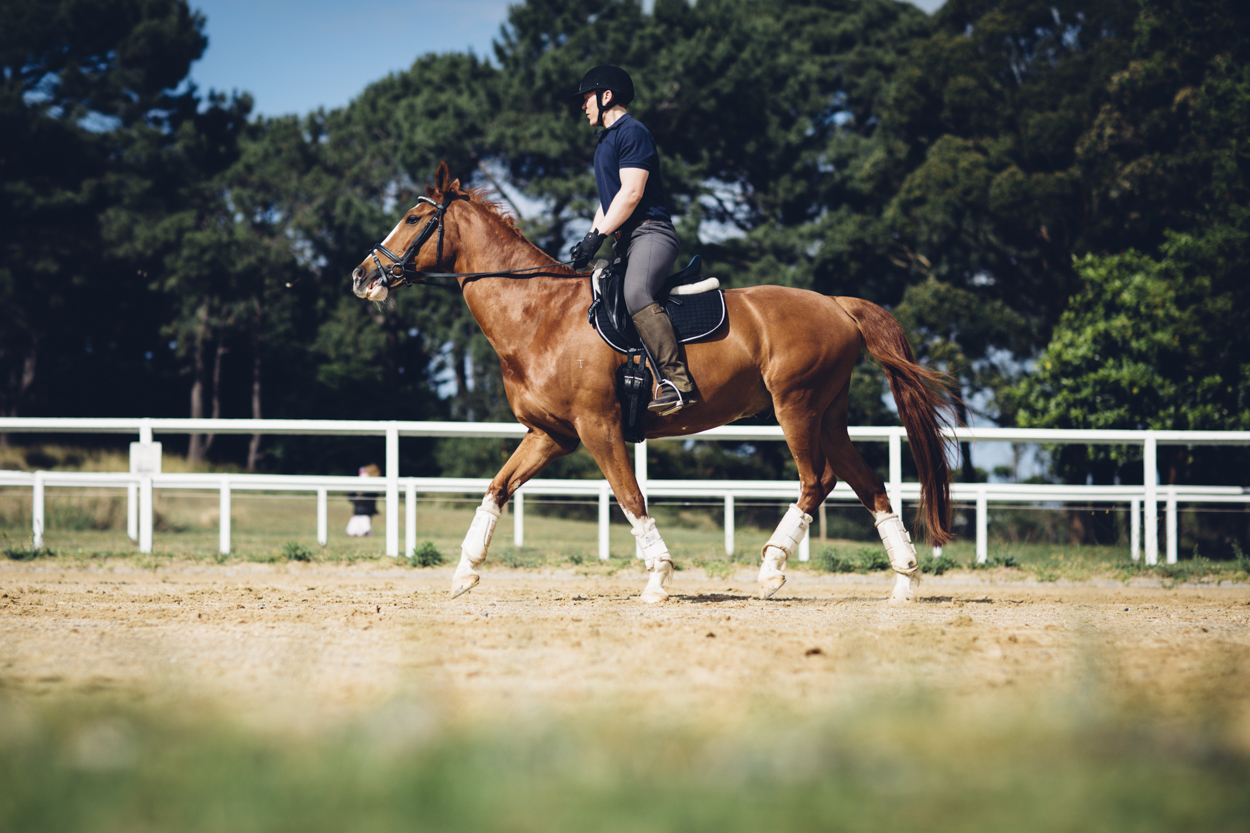 JED_Centennial_Park_Equestrian_Centre.152.jpeg