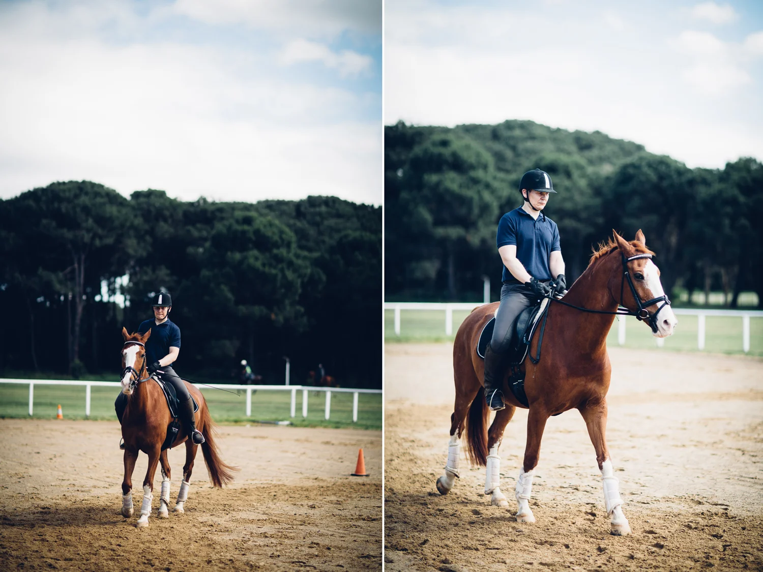 JED_Centennial_Park_Equestrian_Centre.001.jpeg