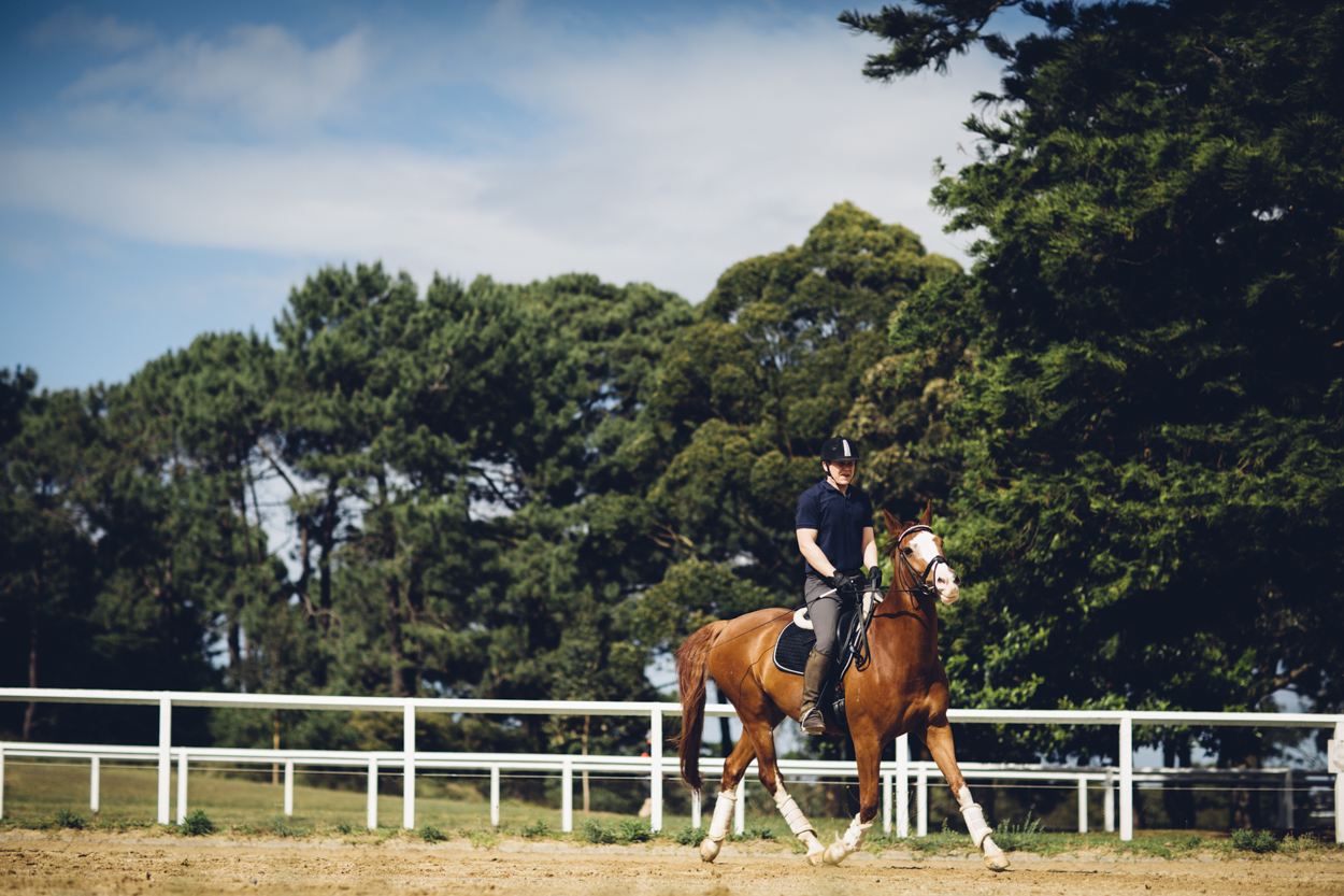 JED_Centennial_Park_Equestrian_Centre.002.jpeg