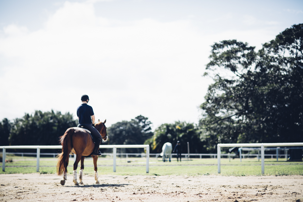 JED_Centennial_Park_Equestrian_Centre.068.jpeg
