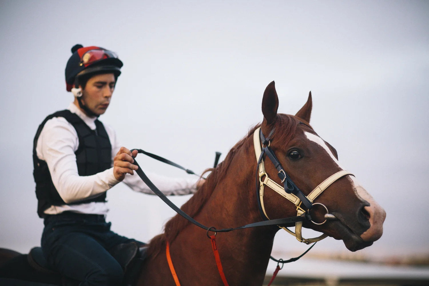 randwick_racecourse_australian_turf_club-3587.jpg