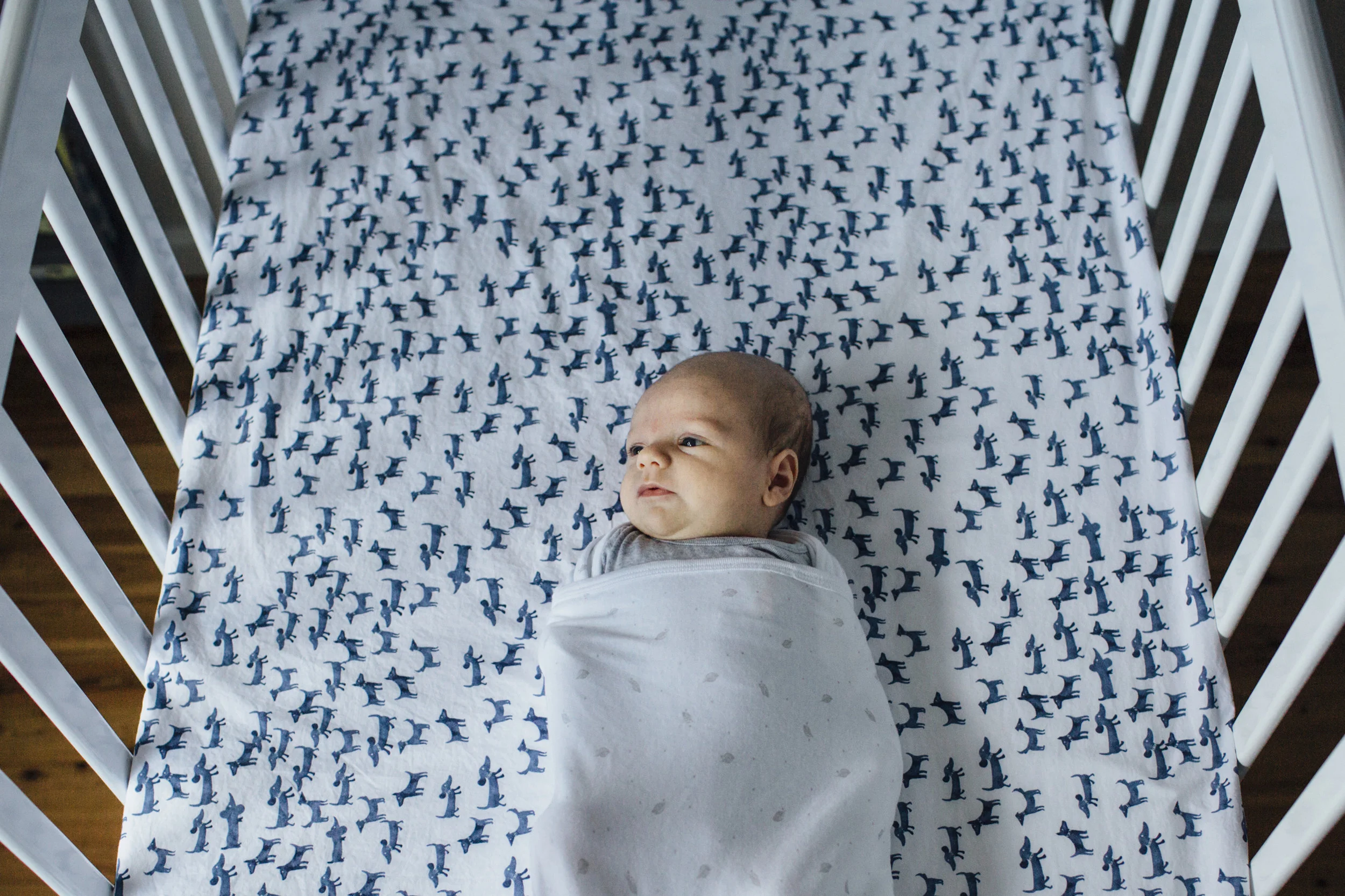 sheridan_nilsson_northern_beaches_lifestyle_family_photographer.23.jpg