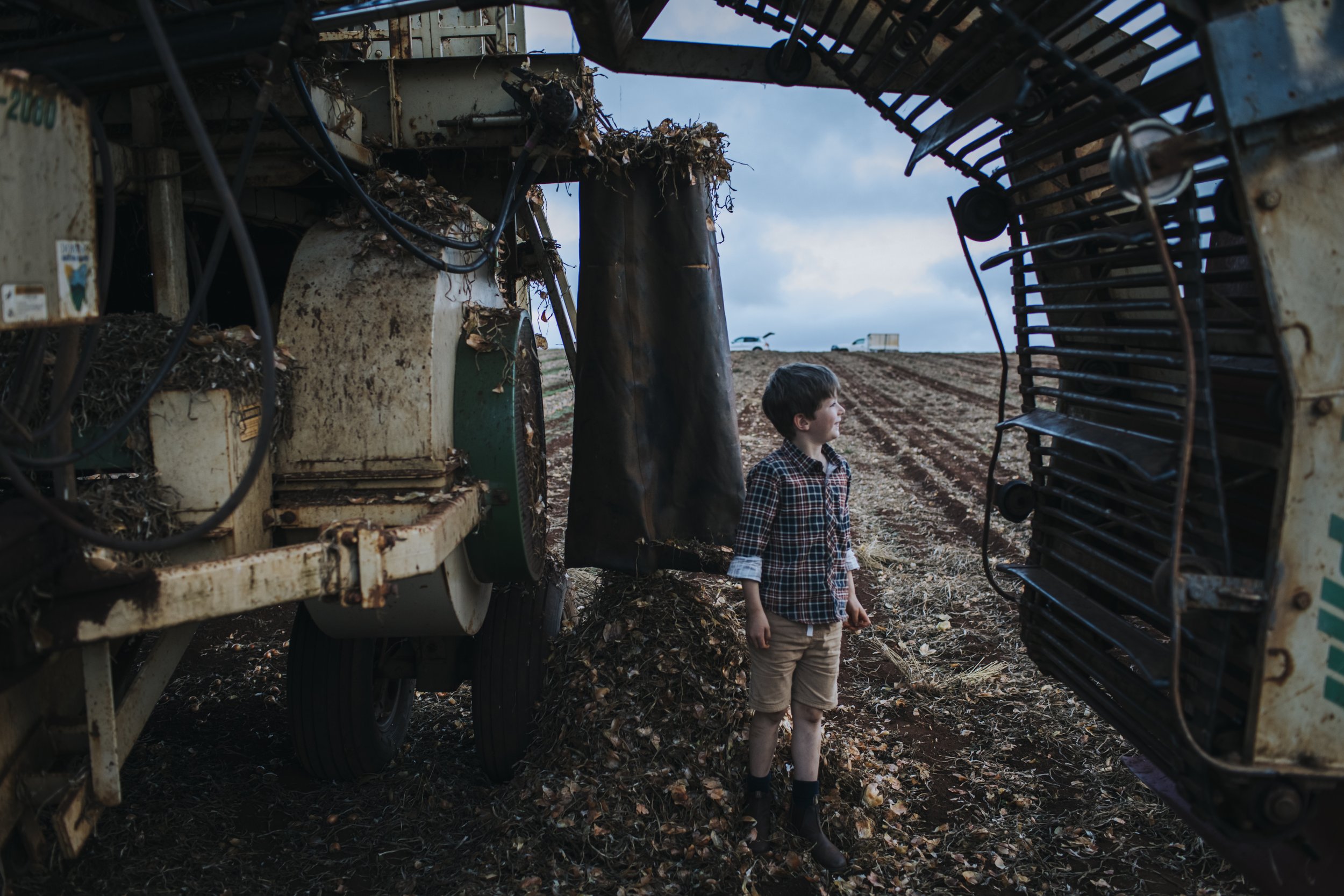 ©Sheridan.Nilsson.Wade.Family-1961.jpg