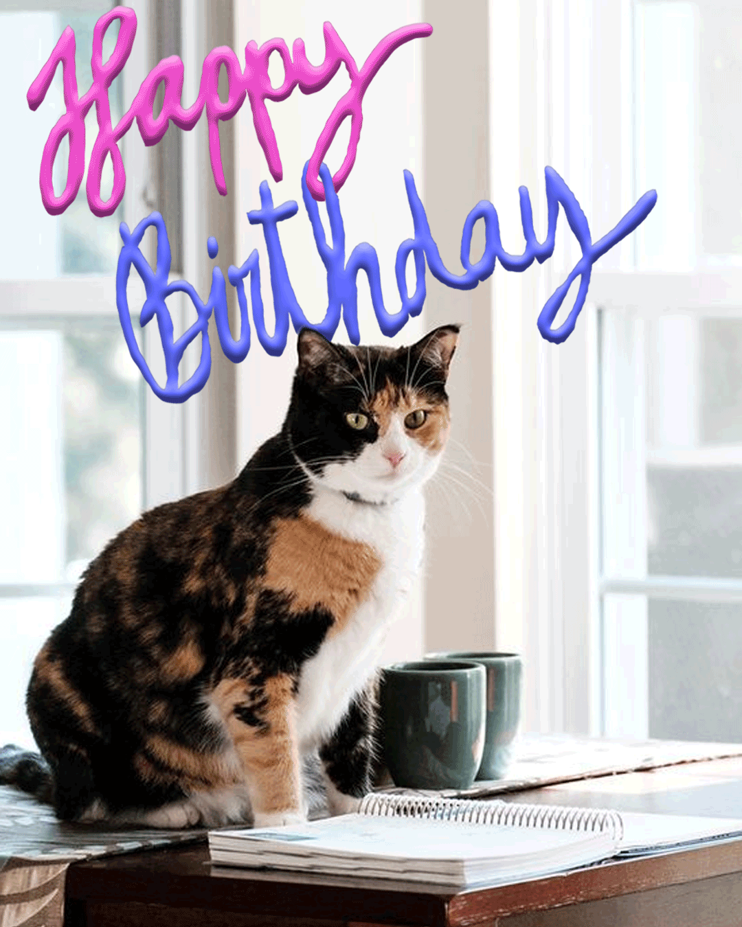 happy-birthday-cat.gif