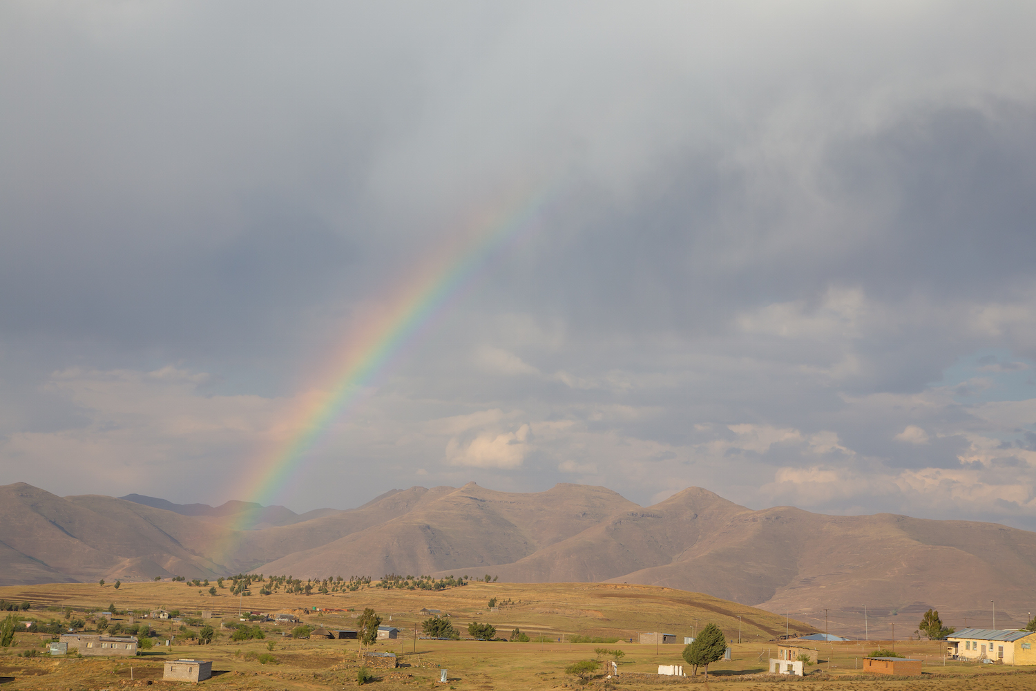 IMG_8427.jpg
