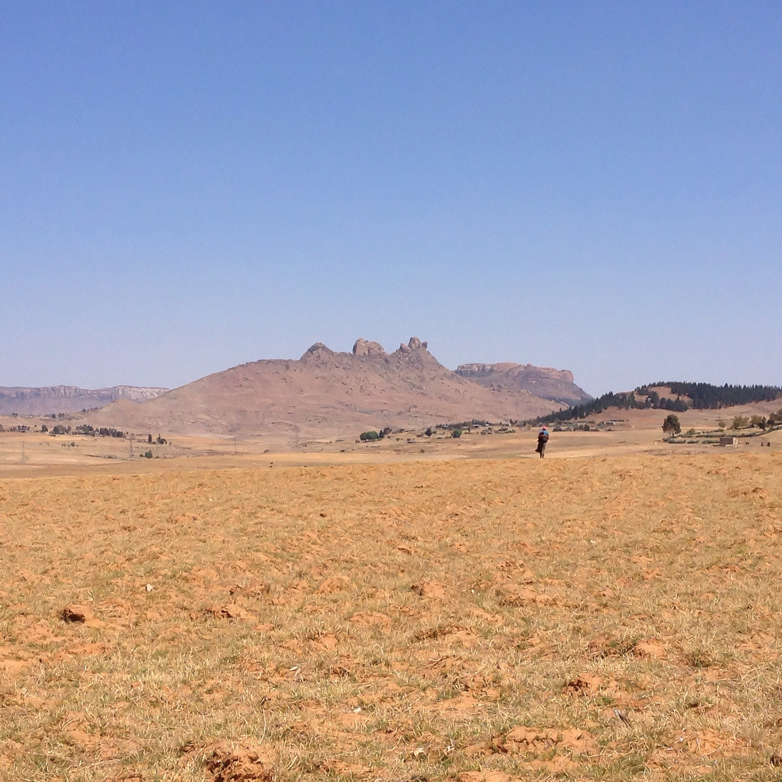 IMG-20151116-WA0019.jpg