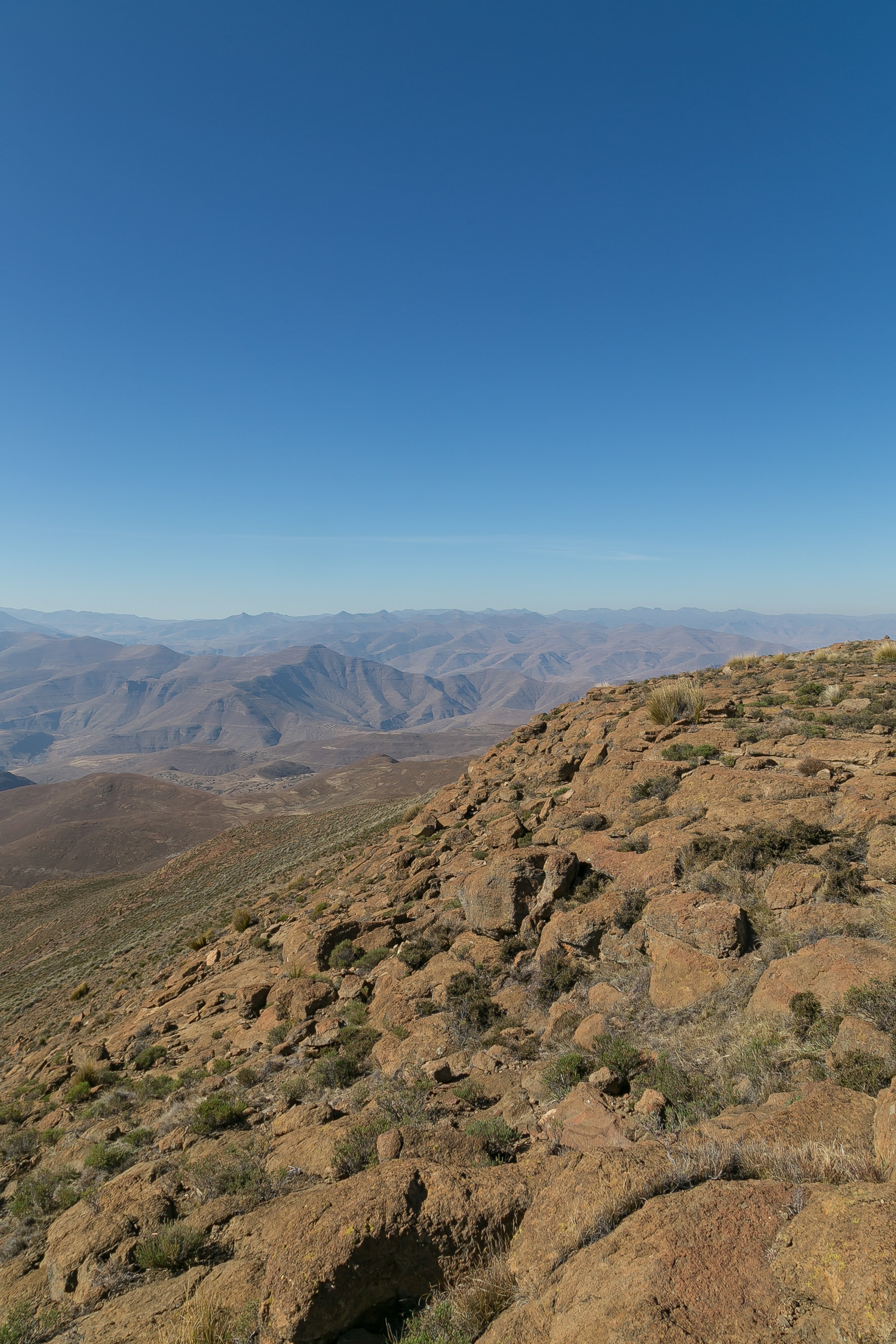 IMG_6359.jpg
