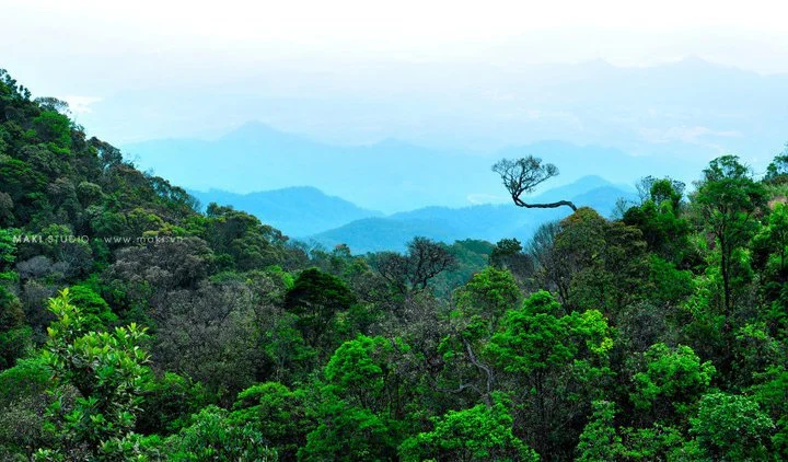 11 LỜI KHUYÊN CHO NHỮNG NGƯỜI MỚI BƯỚC CHÂN VÀO NHIẾP ẢNH