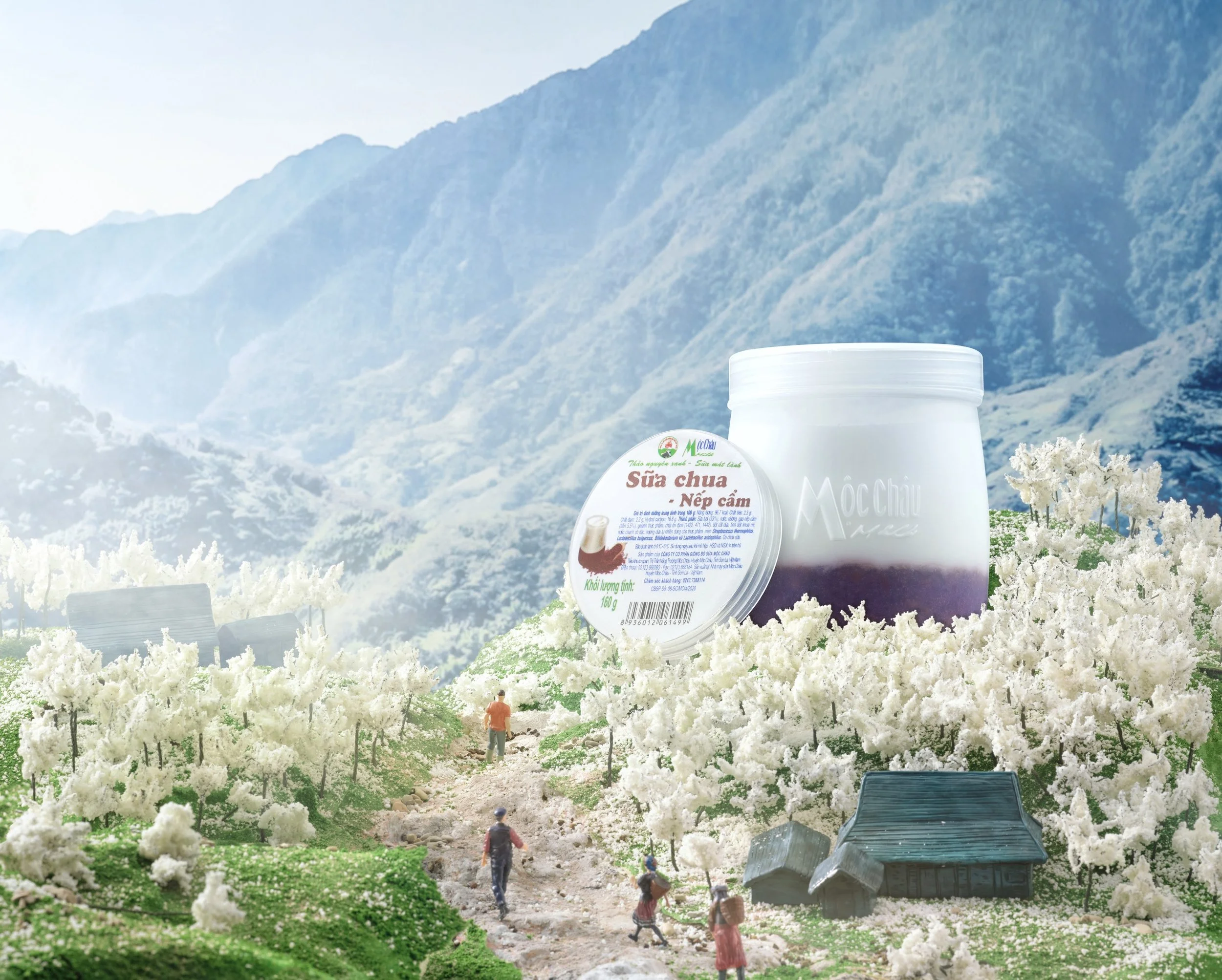 Screen Shot 2021-12-16 at 12.14.49 PM.jpg