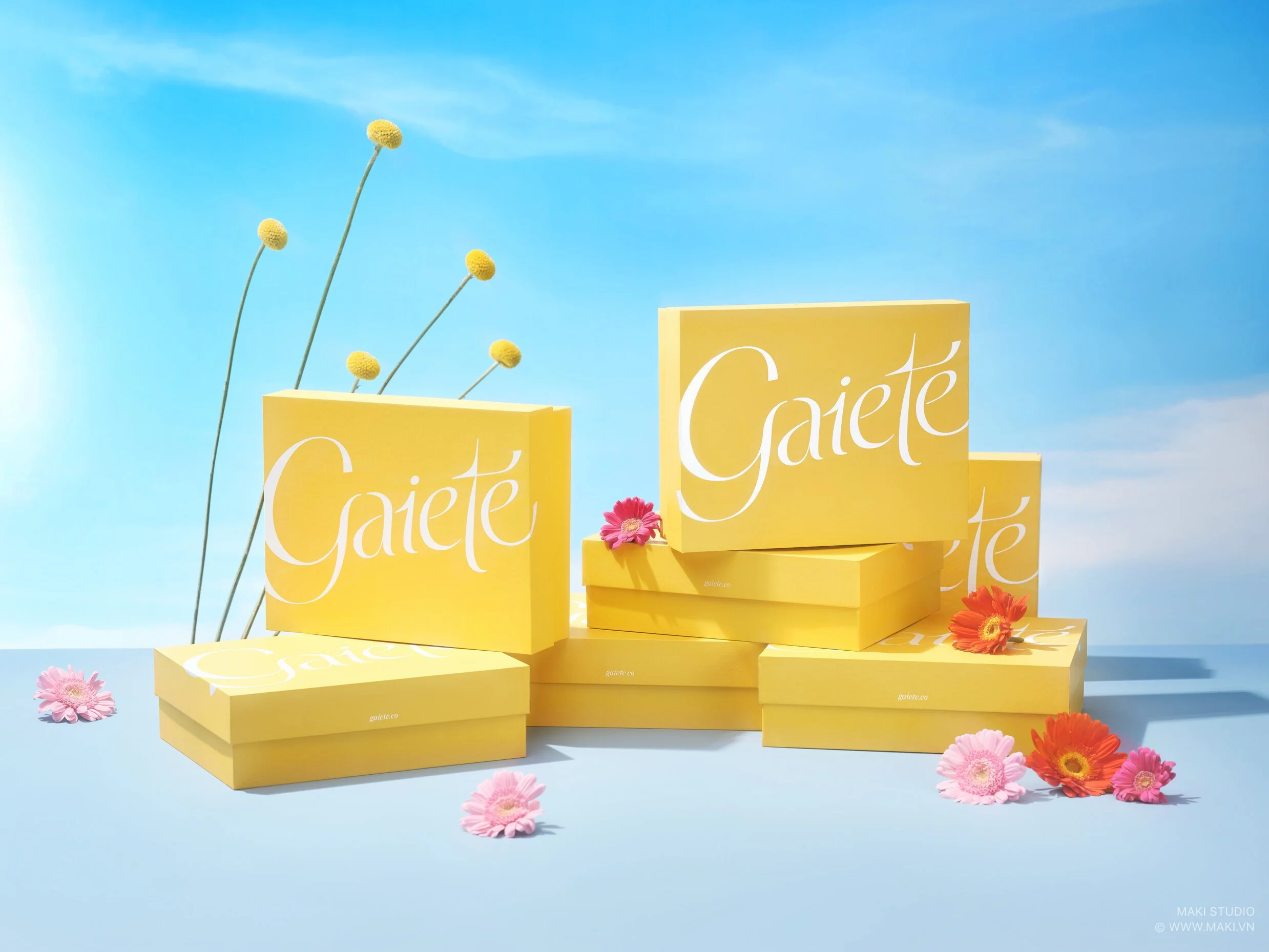 Những loại ảnh chụp sản phẩm thương mại 