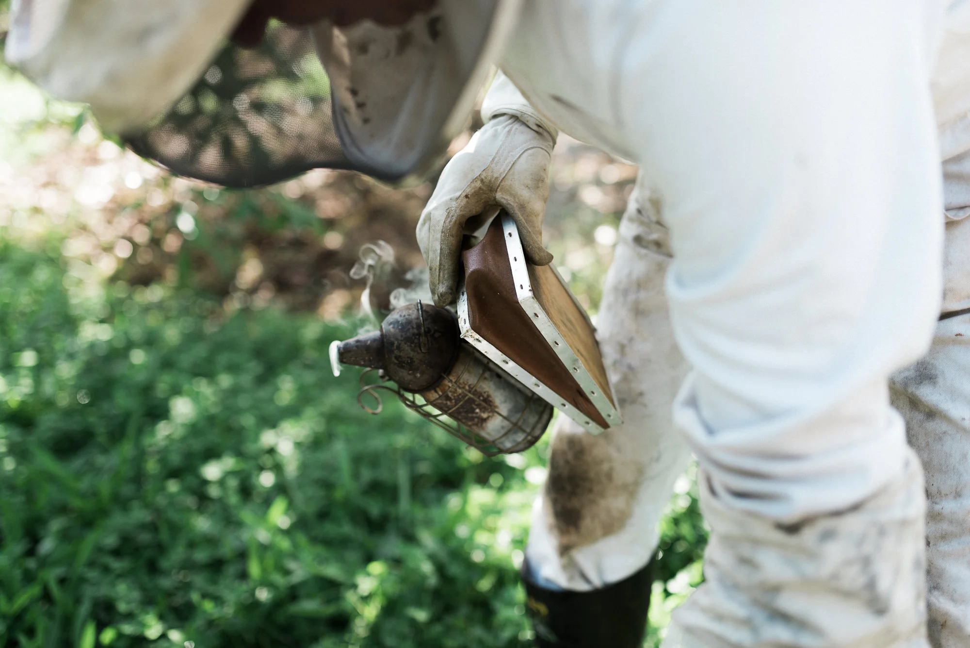 The Hives-9.jpg