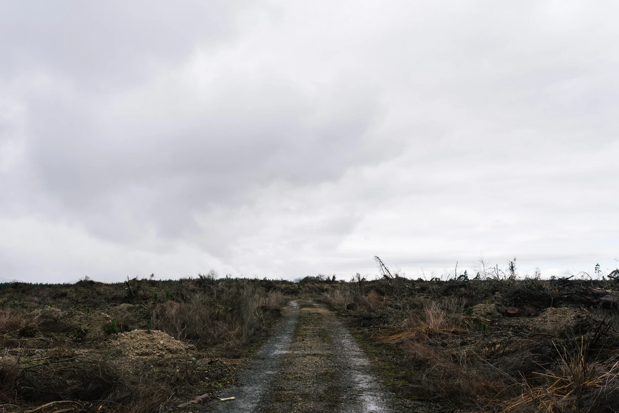 Central North Website-42.jpg