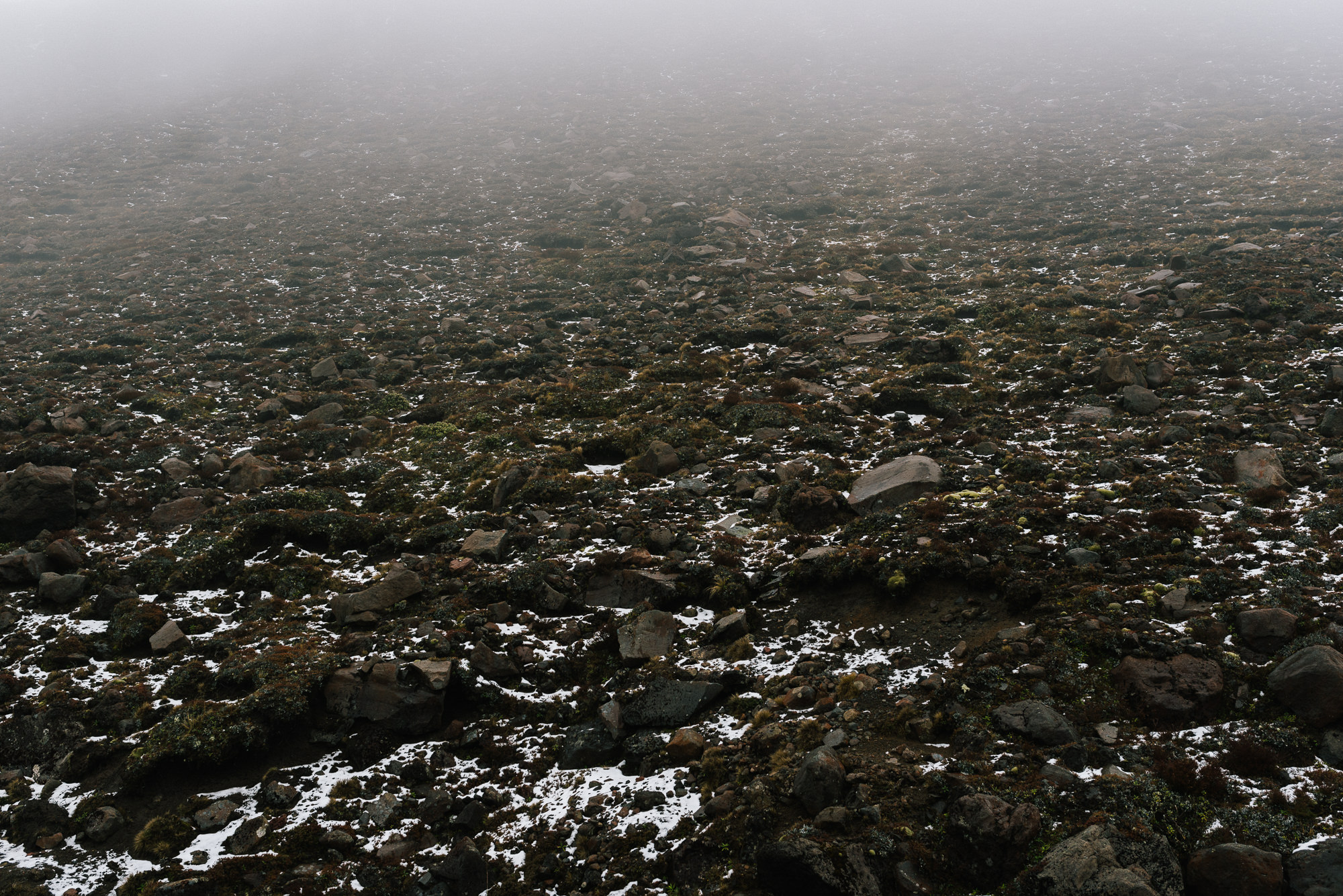 Central North Website-58.jpg