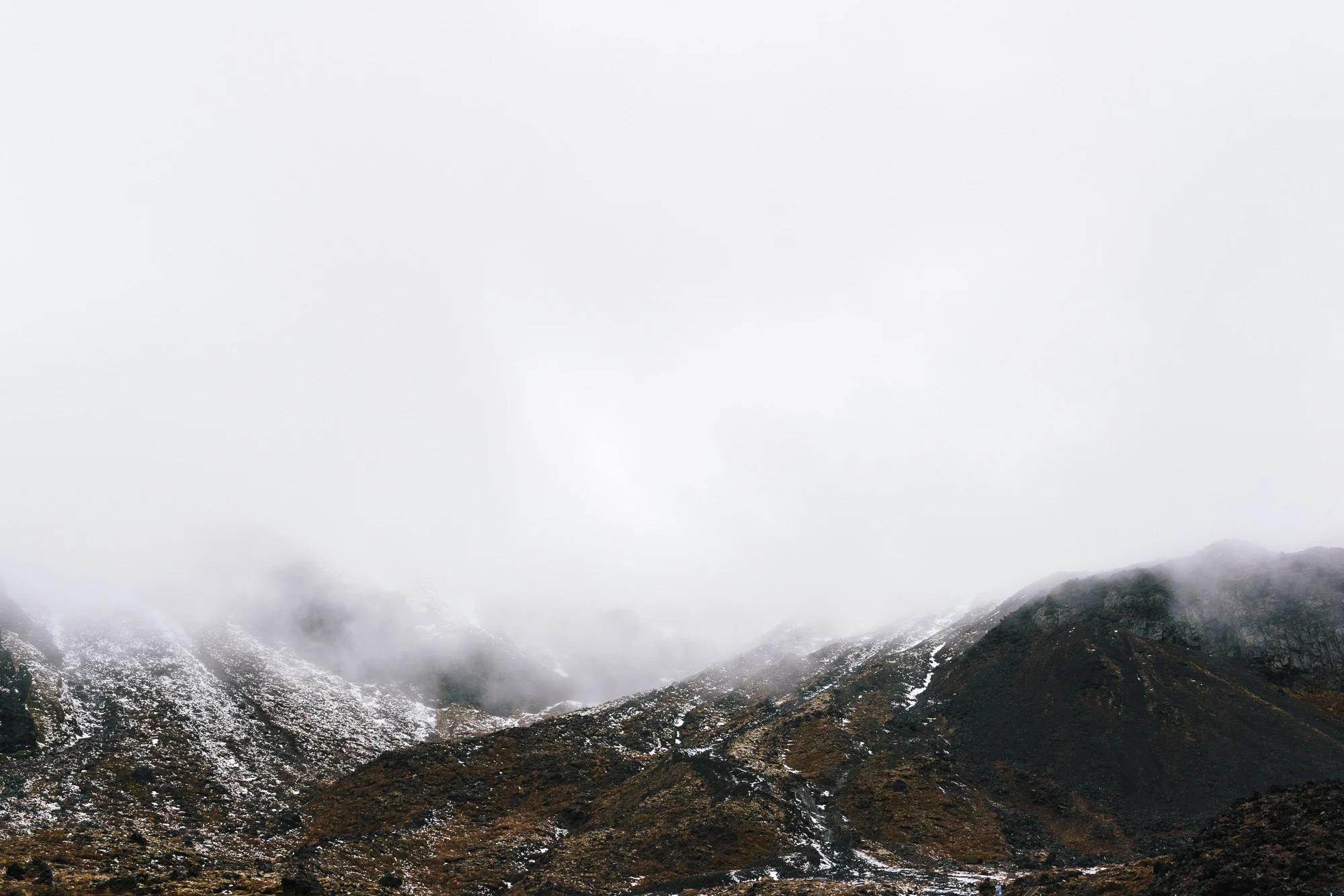 Central North Website-63.jpg